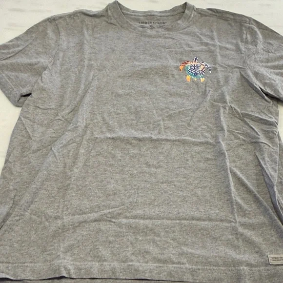 Life Is Good Gray T-Shirt with Colorful Logo - Take it Slow - Picture 2 of 11